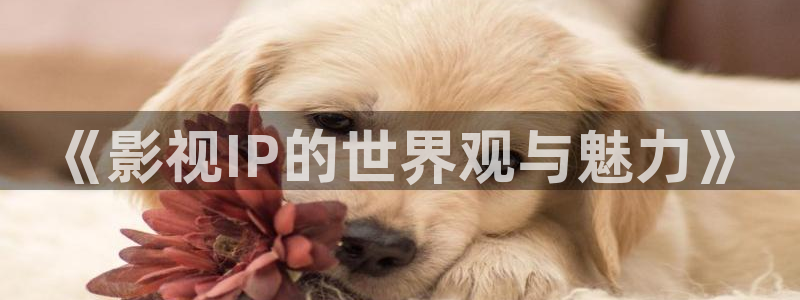 达达兔影视在线观看电视剧免费